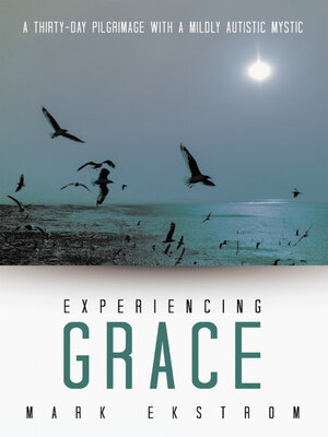 cover image of Experiencing Grace